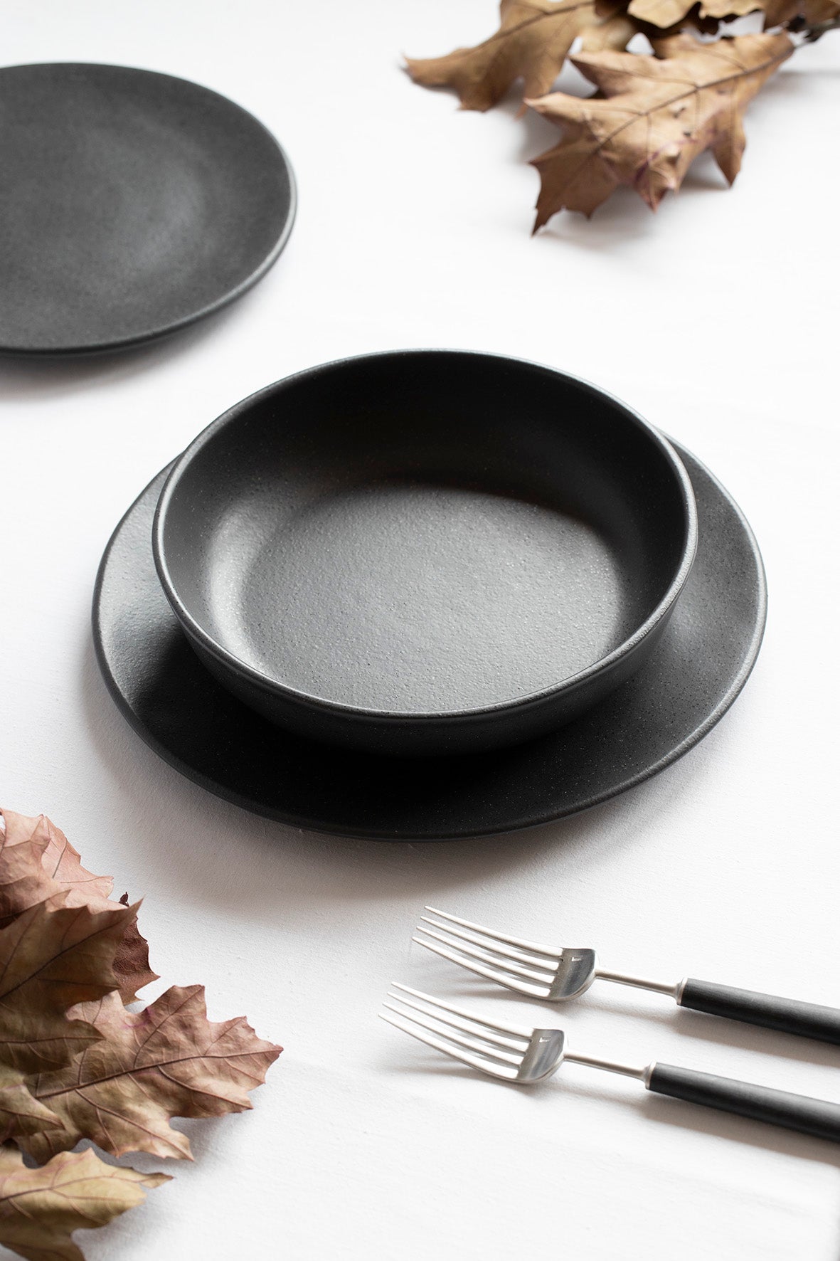 Assiette Plate Roda Ardosia