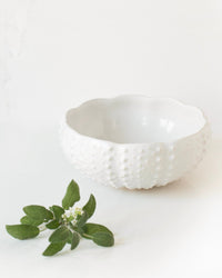 Ensaladera o bowl Erizo Sea Creatures