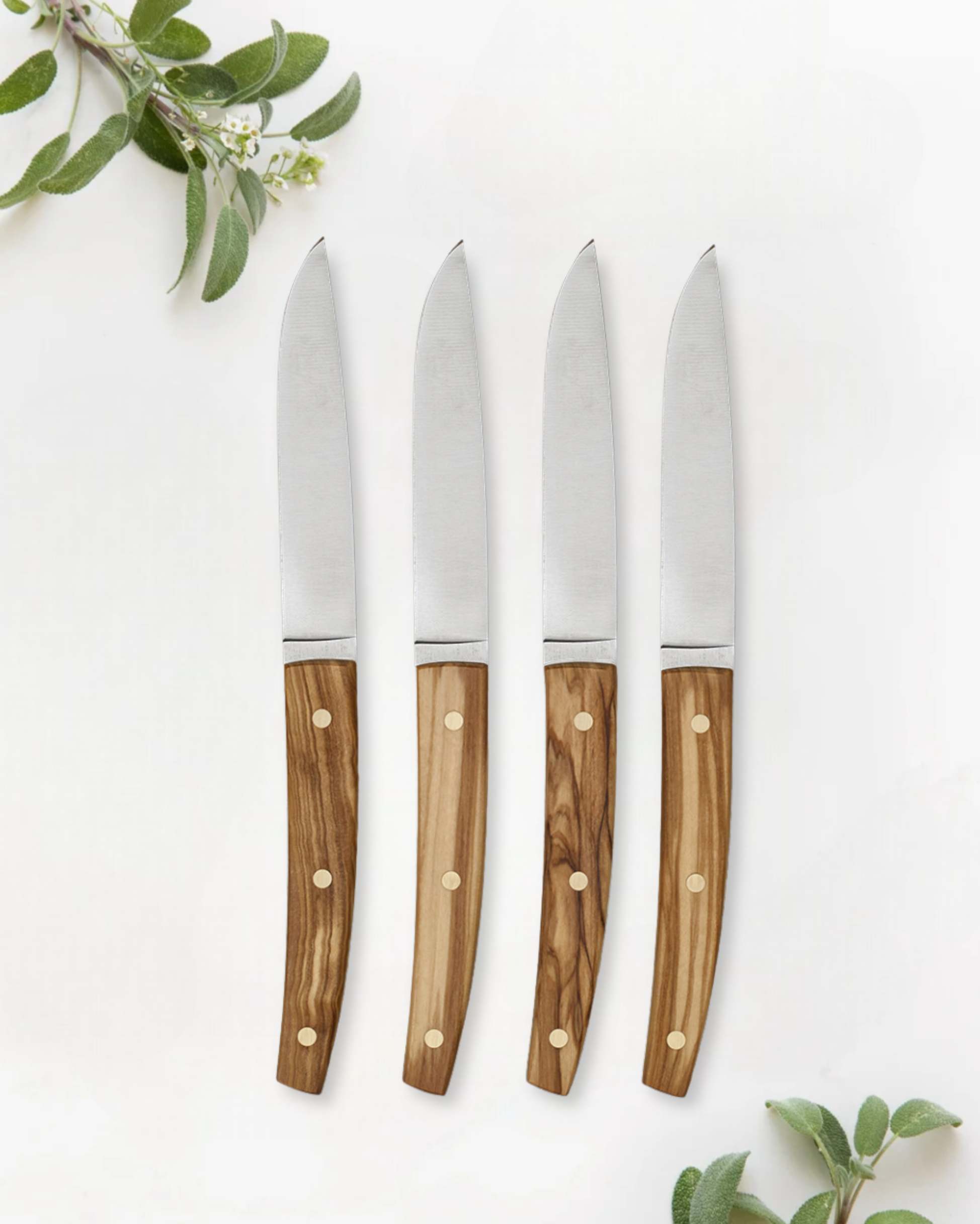 Lisbon Olive Tree 4 steak knives set