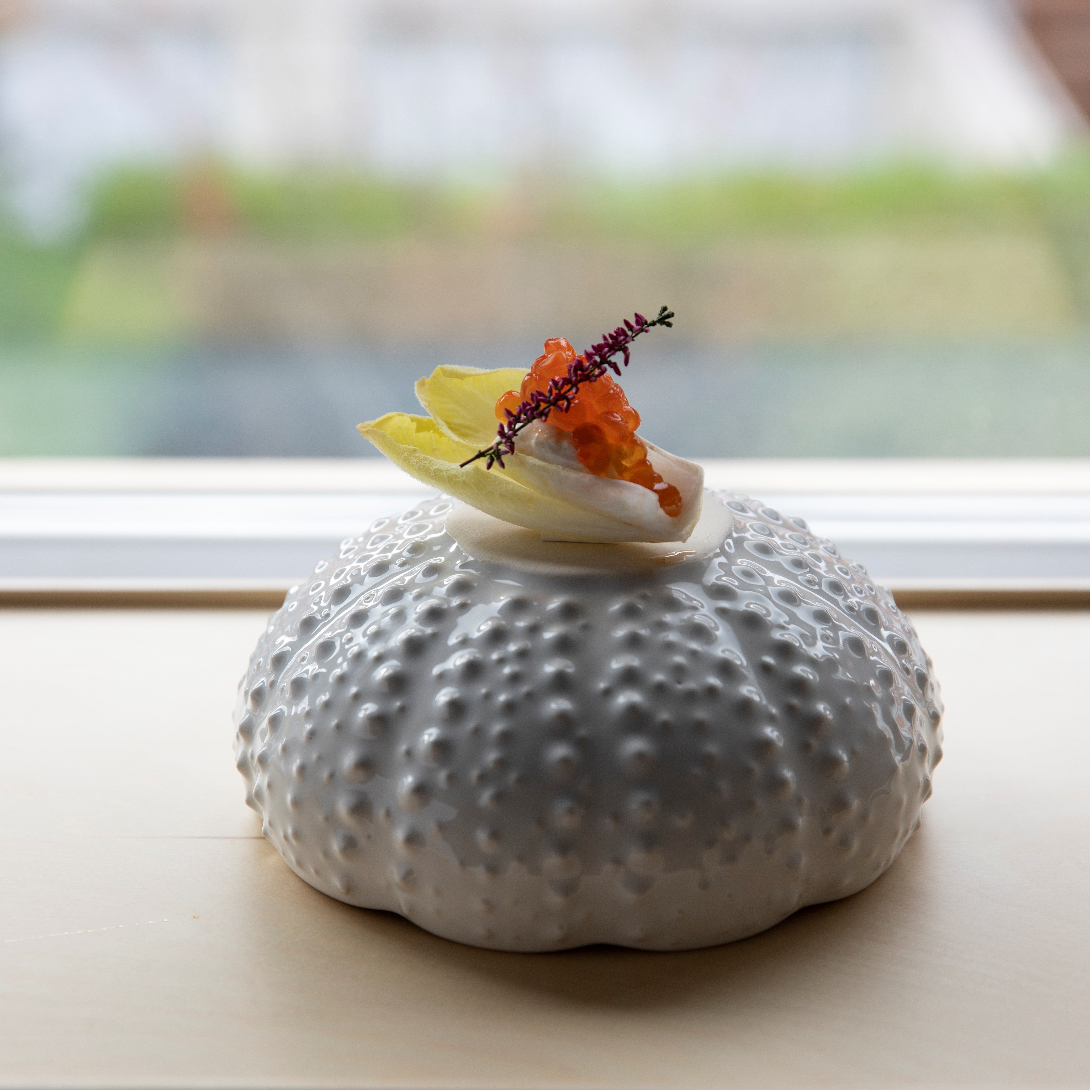 Salad Bowl Sea Creatures 18 cm