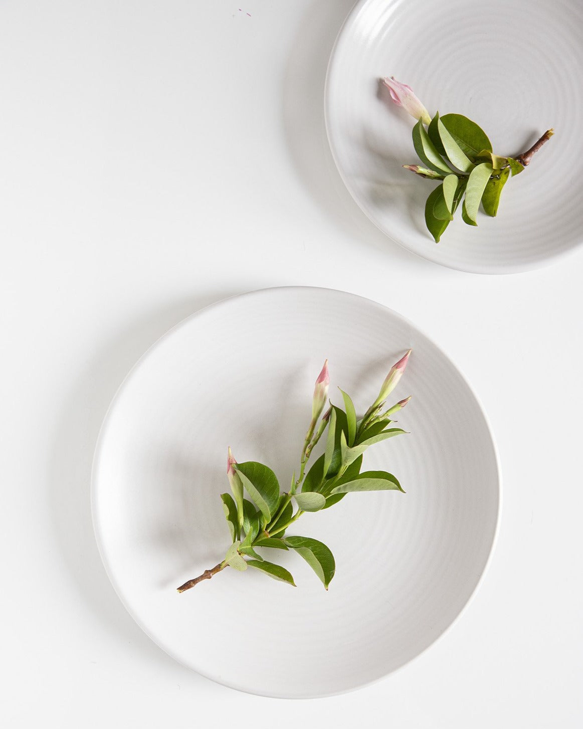 Assiette Plate Pearl