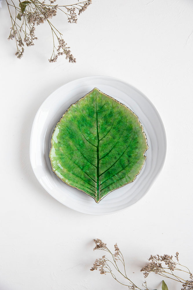 5 assiettes à dessert pour 5 utilisations différentes