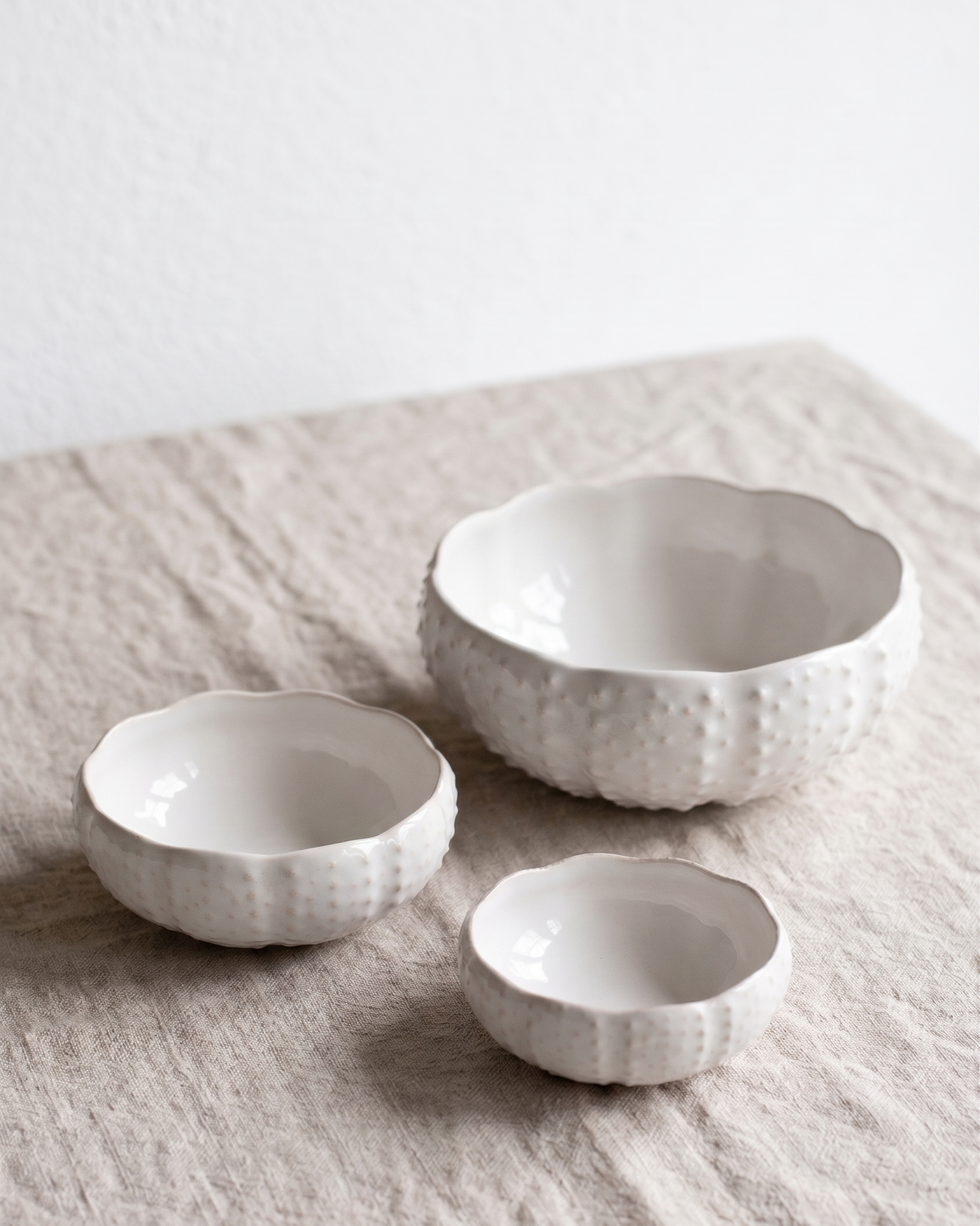 Set 3 Bowls Erizo Sea Creatures