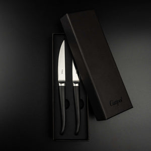 Cutipol Rib Couteaux à steak - Set de 2 couteaux -