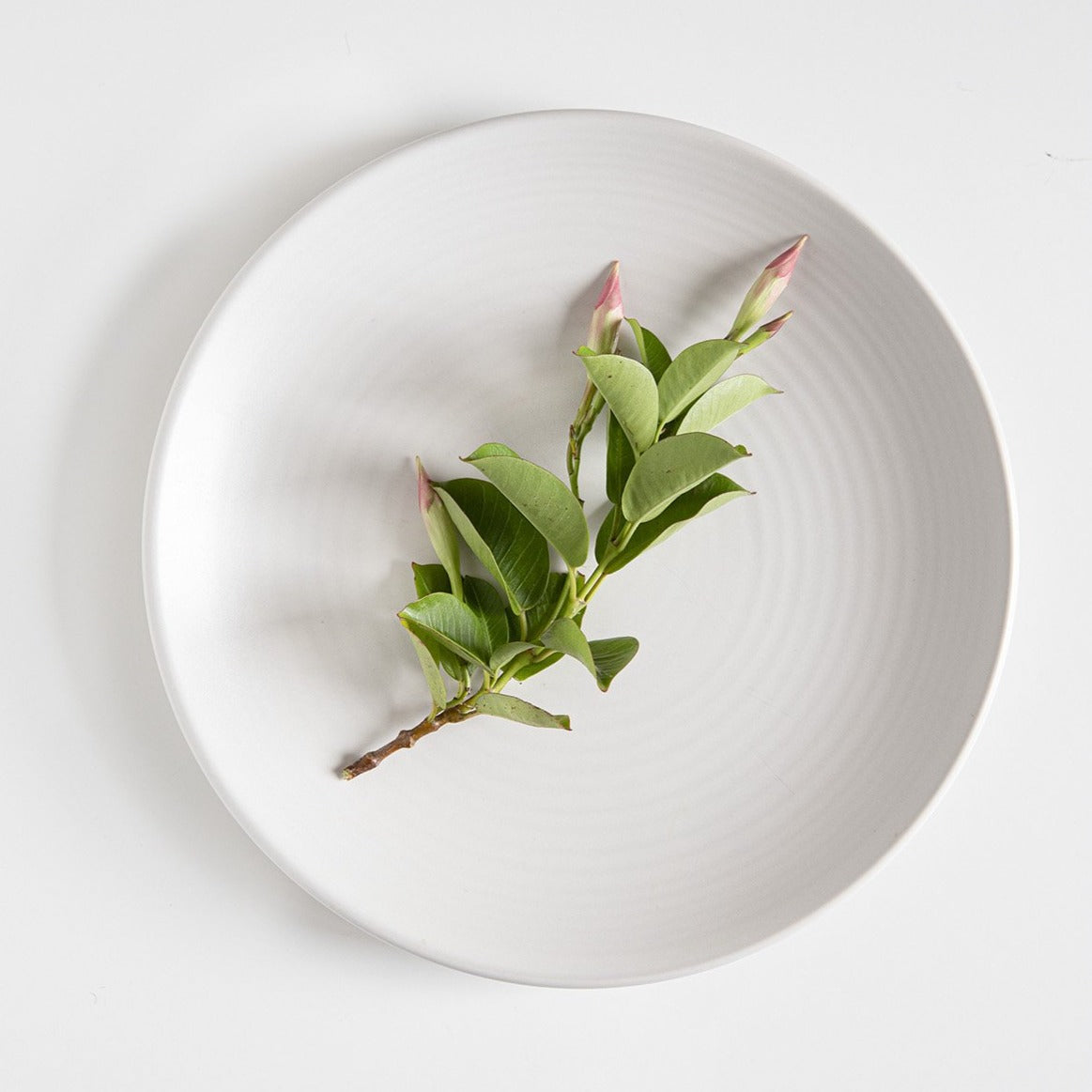 Assiette plate Pearl